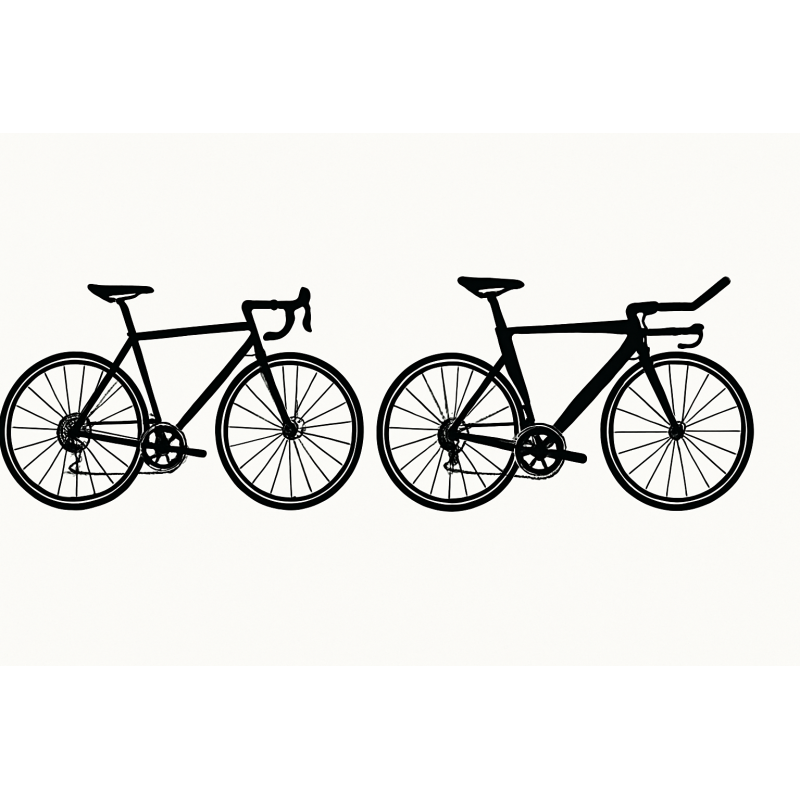 Renting a bicycle - wypożyczenie roweru