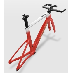 Rower Ridley Triton Fast L custom