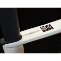 Rower Ridley Triton Fast L custom