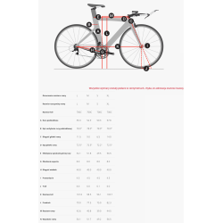 Rower triathlon Trek Speed Concept - Ultegra - używany - rozmiar M