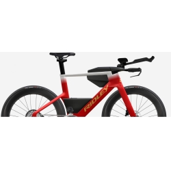 Rower Ridley Triton Fast S pink custom