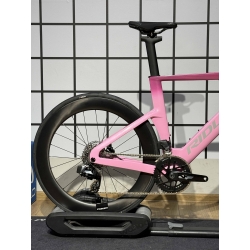 Rower Ridley Triton Fast S pink custom