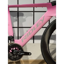 Rower Ridley Triton Fast S pink custom