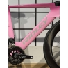 Rower Ridley Triton Fast S pink custom