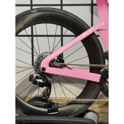 Rower Ridley Triton Fast S pink custom